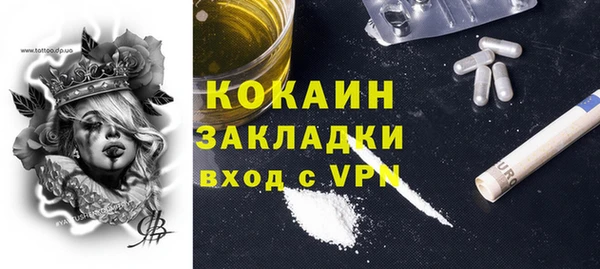 молекула духа Семилуки